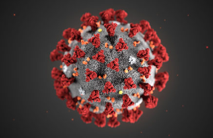 CHIARIMENTI SU ORDINANZA GESTIONE EMERGENZA EPIDEMIOLOGICA DA COVID-2019