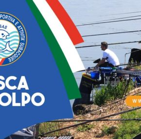 CIS COLPO 2024 – SORTEGGI BOX TERZA E QUARTA PROVA