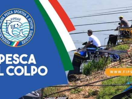 CIS COLPO 2024 – SORTEGGI BOX TERZA E QUARTA PROVA