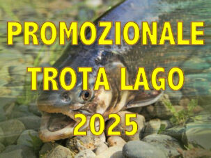 CAMPIONATO PROMOZIONALE TROTA LAGO 2025